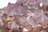 Cactus Quartz (Amethyst) Crystal Cluster - Huge Crystals! #206119-7